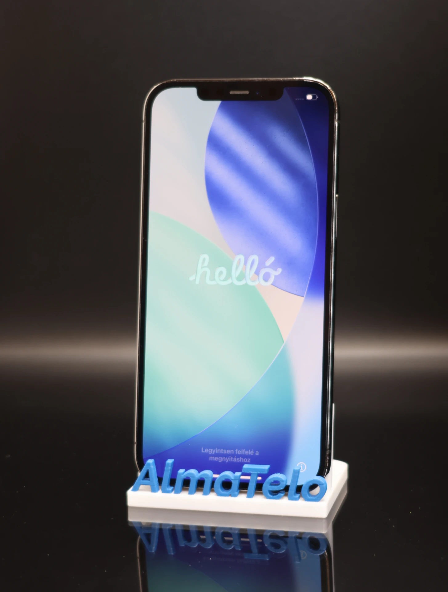 Apple iPhone 12 Pro Max 256 GB Graphite 100% 