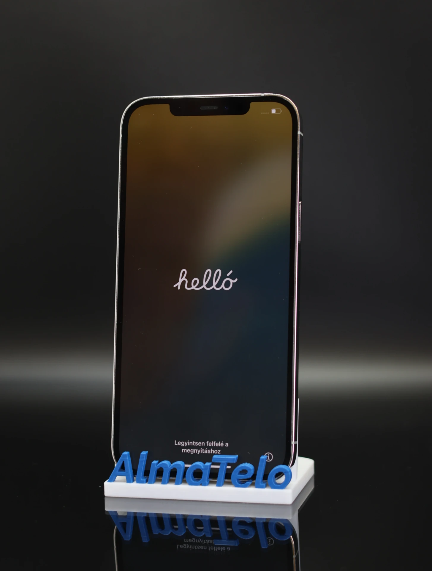 Apple iPhone 12 Pro Max 256 GB Silver 100%