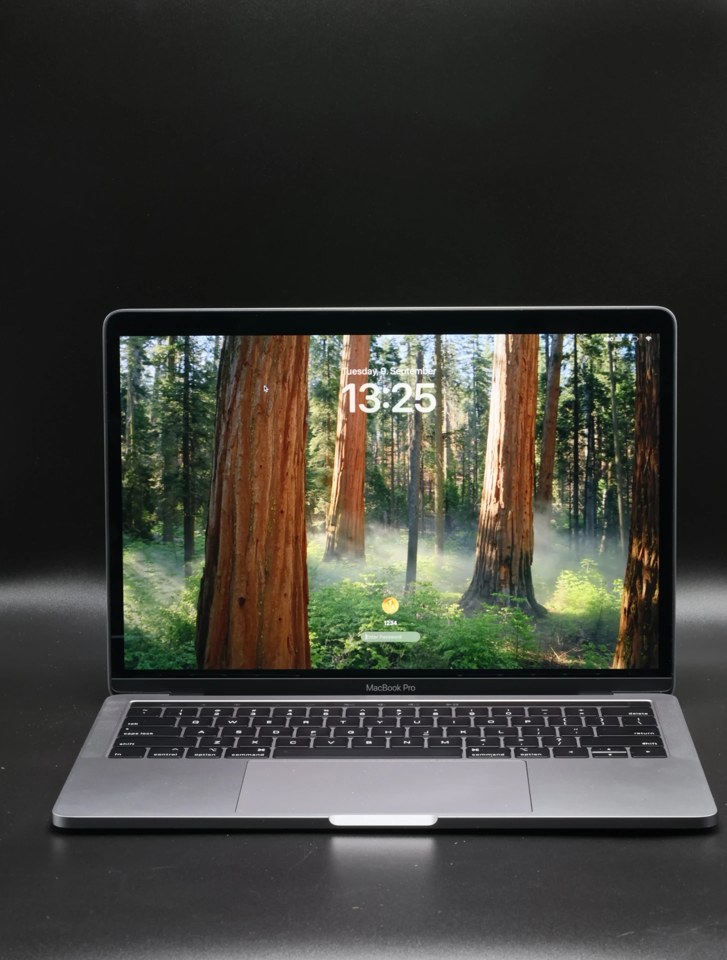 Apple MacBook Pro 13″ Touch Bar 2019 i7 1TB SSD 16 GB RAM Space Gray USA Bill 