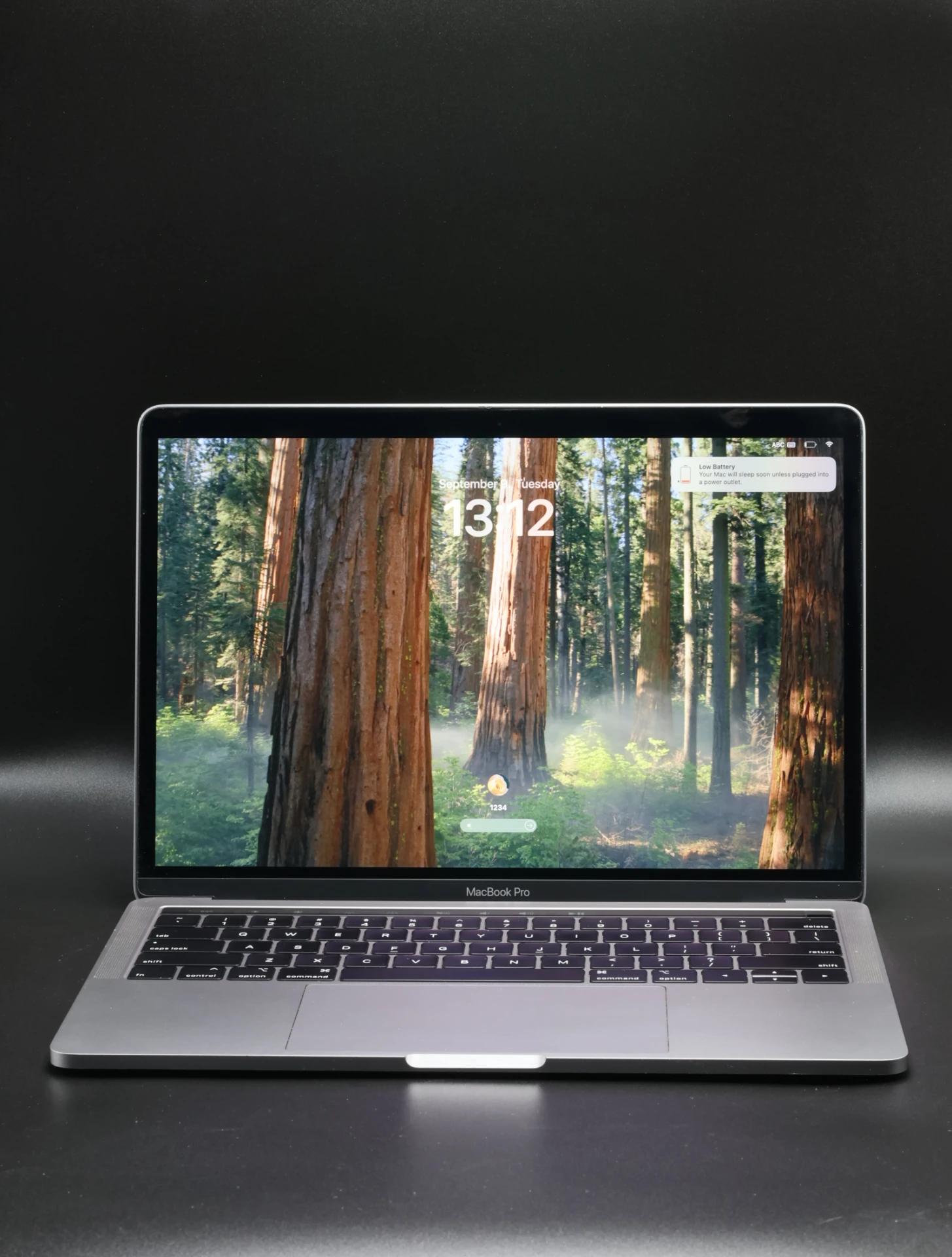 Apple MacBook Pro 13″ Touch Bar 2019 i7 1TB SSD 16 GB RAM Space Gray USA Bill 
