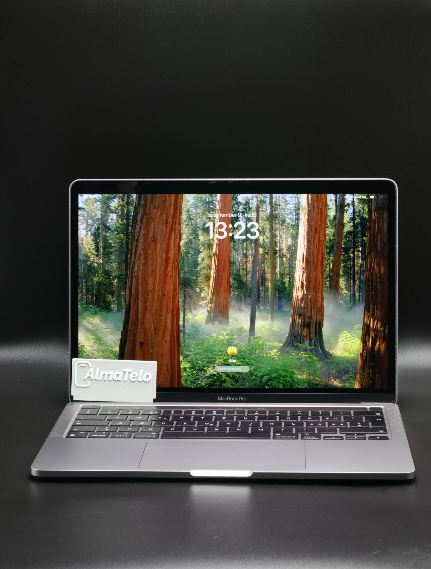 Apple MacBook Pro 13″ Touch Bar 2020 M1 256 GB SSD 8 GB RAM Space Gray 95% EU Bill 