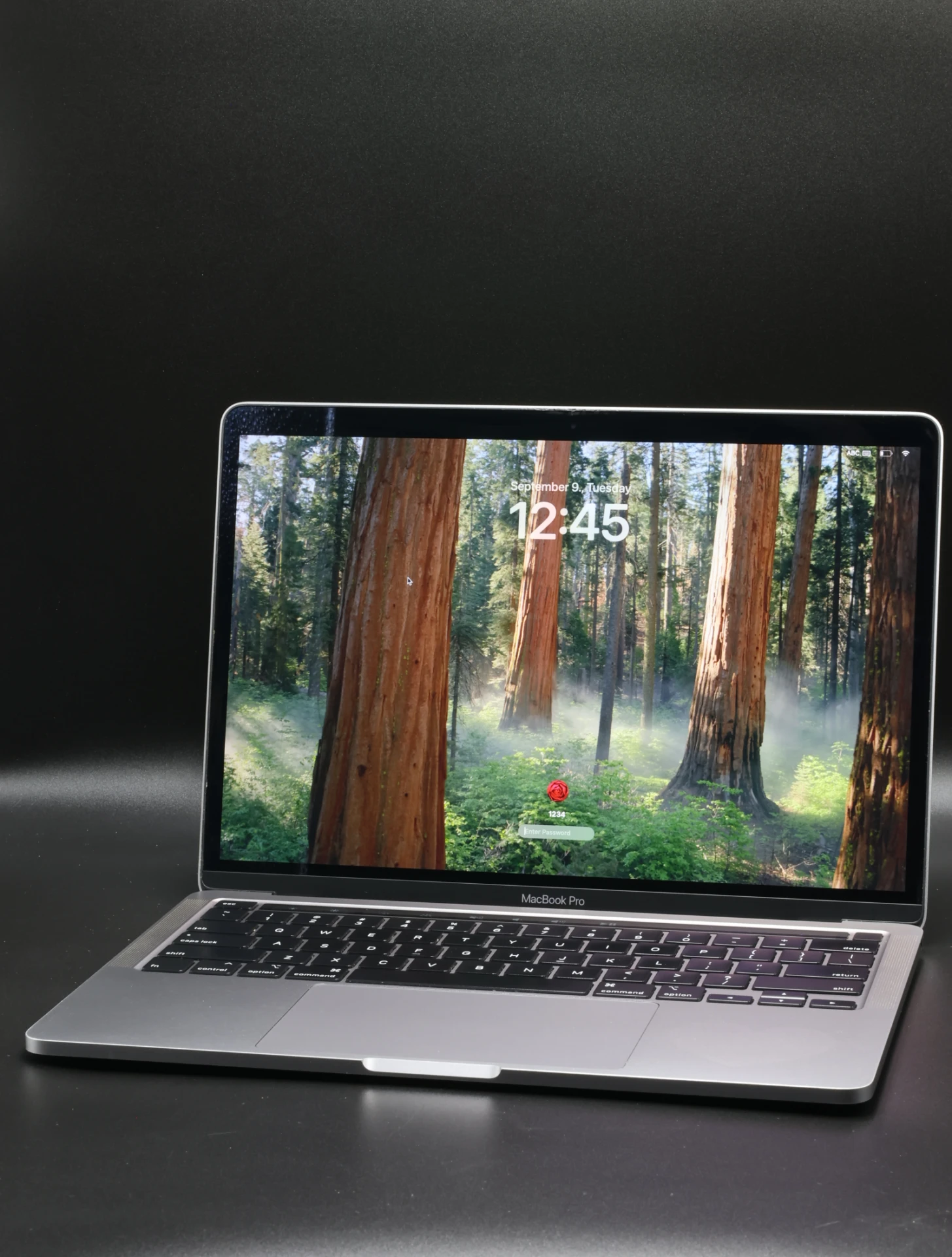 Apple MacBook Pro 13″ Touch Bar 2020 i5 256 GB SSD 8 GB RAM Space Gray USA Bill 